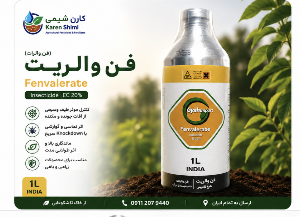 فن والریت همانی هند