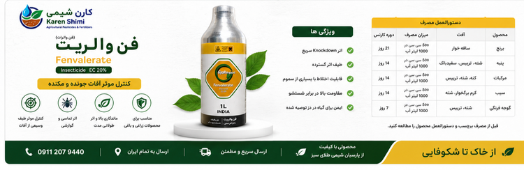 فن والریت همانی هند