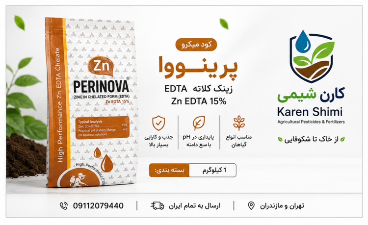 کود کلات روی پرینوا مکزیک
