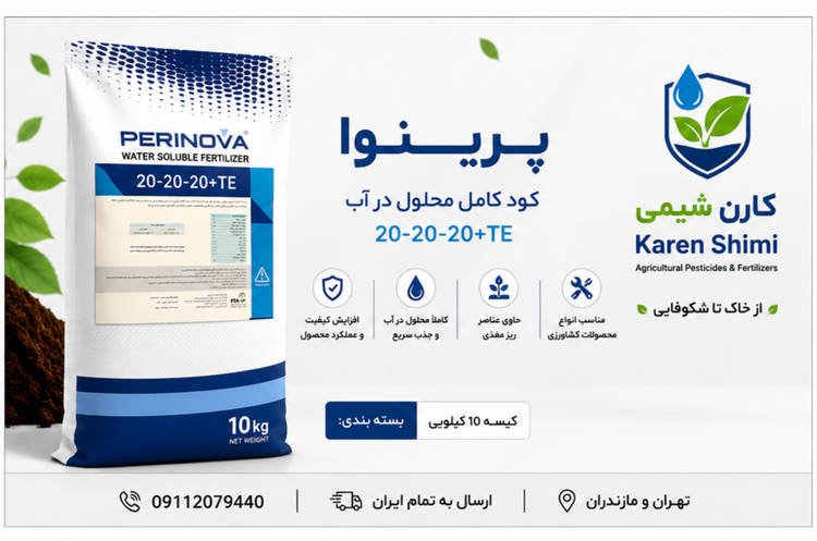 2020-20پرینوا کیسه10