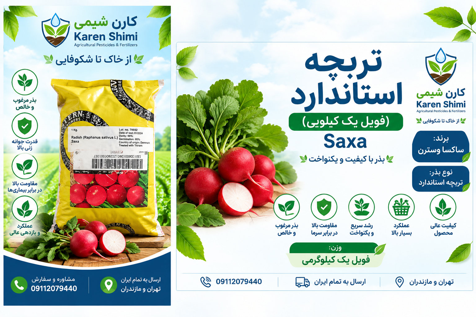 تربچه ساکسا وسترن دانمارک