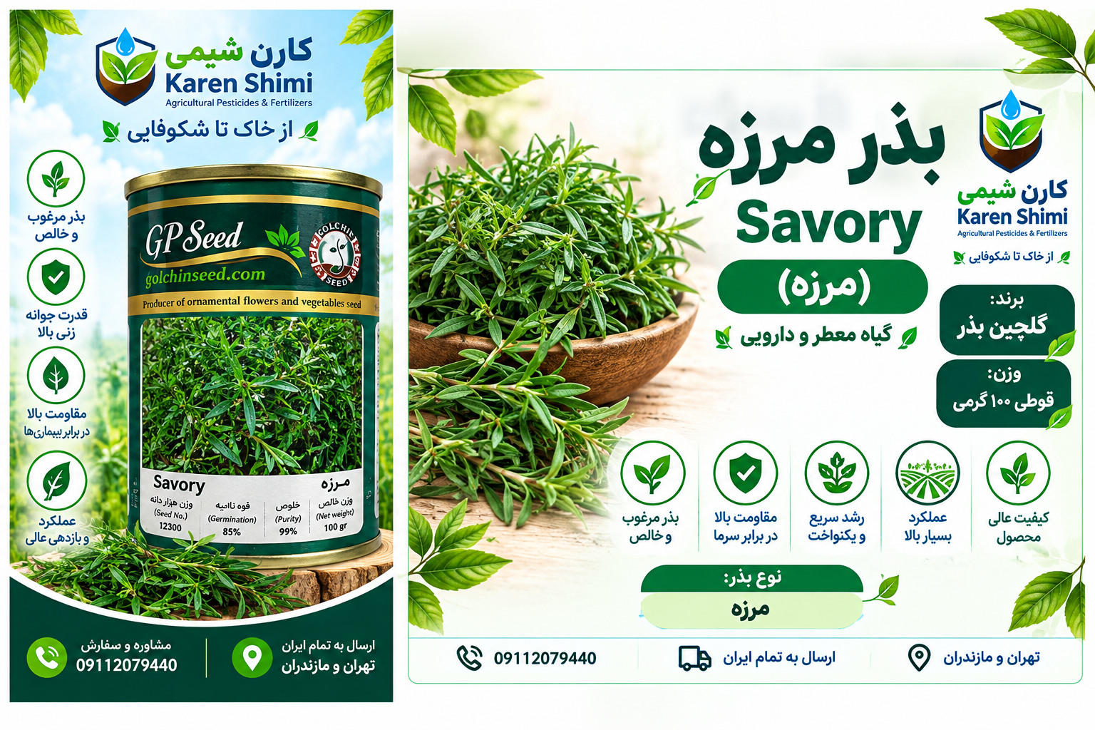 بذر مرزه قوطی ۱۰۰ گرمی گلچین پامچال