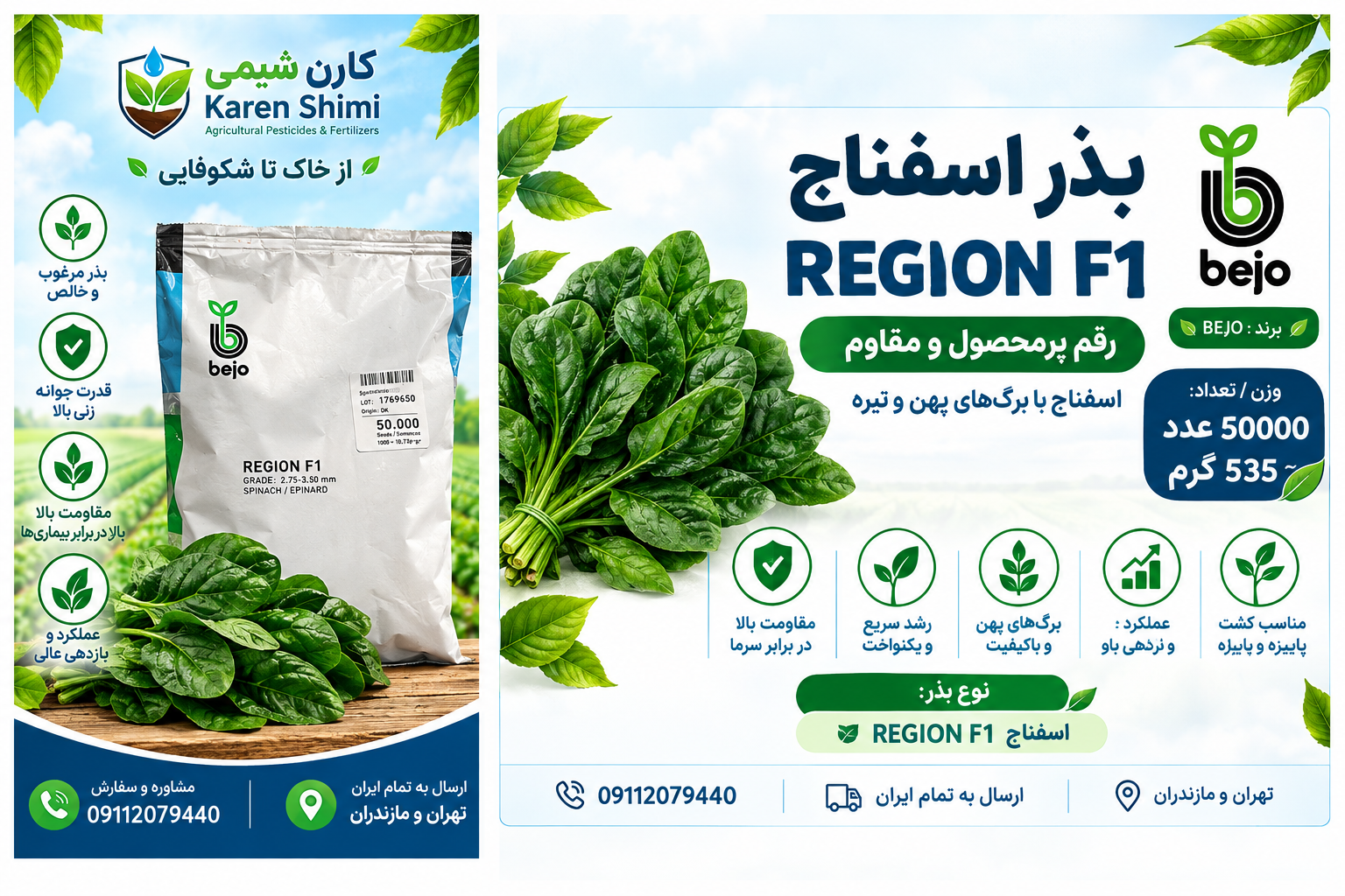 اسفناج بجو f1 پاکت 50هزار عددی