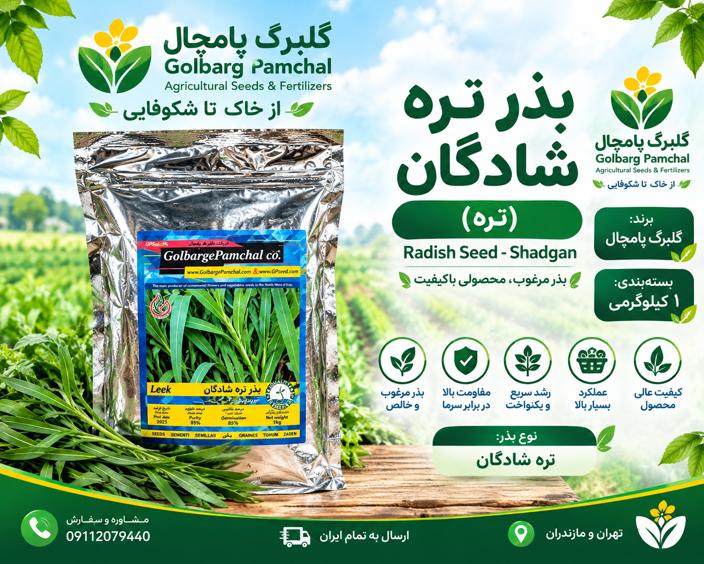 بذر تره شادگان یک کیلویی