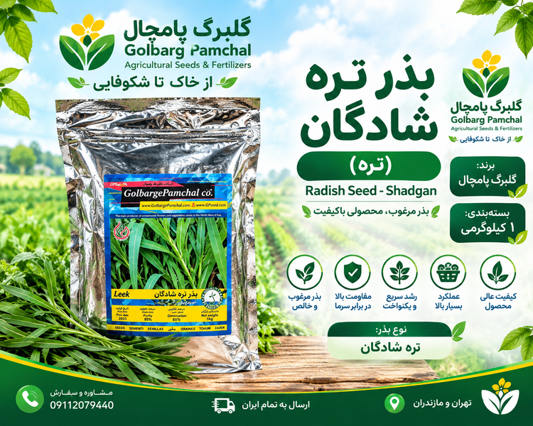 بذر تره شادگان یک کیلویی