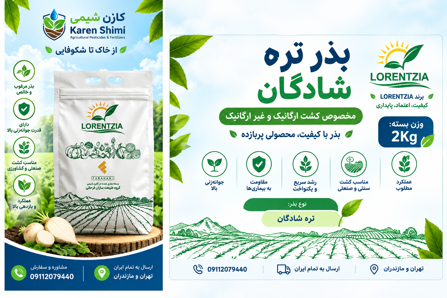 بذر تره شادگان۲کیلویی لورنزا