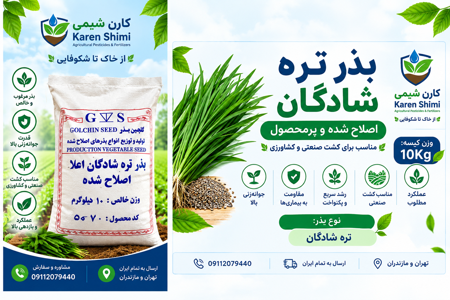 بذر تره شادگان کیسه ۱۰ کیلوگرمی
