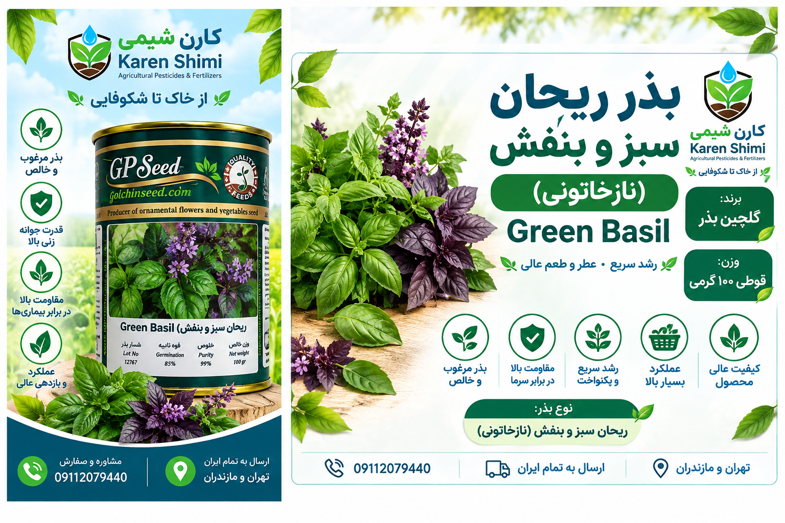 ریحان سبز و بنفش ( نازخاتونی ) ۱۰۰ گرمی گلبرگ پامچال